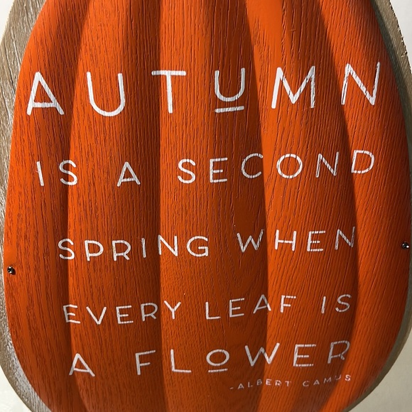 NWT Sturdy, Stand-Up, Outdoor/Indoor Fall Pumpkin Decor: Wood/Metal/Embellished - Picture 3 of 9